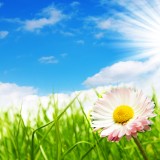 Primavera in settimana