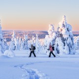 Vacanze neve