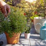 terrazzi arredati con fiori