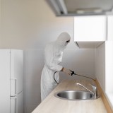 scarafaggi in casa