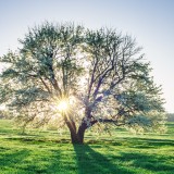 quando inizia la primavera nel 2026