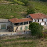 Urgent properties for sale