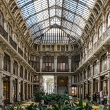 torino insolta