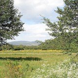 Uno scorcio del Parco Nazionale della Sila