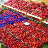 sagra delle fragole nemi