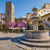 Tuscia Viterbese