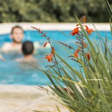 cheap property with a pool Italy