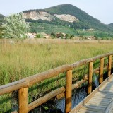 parco san rossore