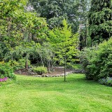 cattivo odore giardino