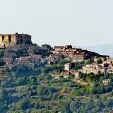 Pollica
