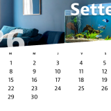 calendario settembre 2026
