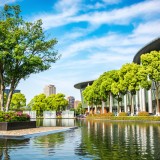 quanti alberi servono per raffreddare le città