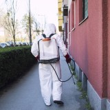 disinfestazione in condominio