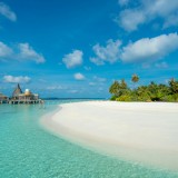 Maldive