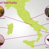 vini tipici sud italia