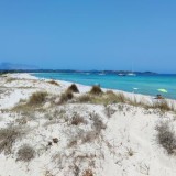 Sardegna, la spiaggia che sembra Tahiti: guida a Cala Brandinchi