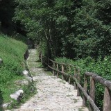 via mercatorum
