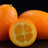 kumquat