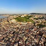 quanti alberi ci sono a napoli