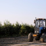 riscatto agrario