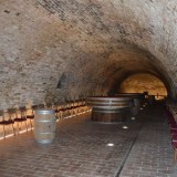 Dentro le cantine più grandi al mondo: c’è anche l’Italia