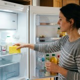 Spugna nel frigo
