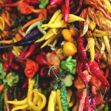 Autumn food festivals in Italy 2026