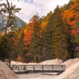 foreste italiane dove vedere il foliage
