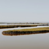 Lagosanto