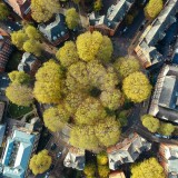 città con più alberi in Italia