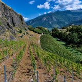Vallese d’estate: cremagliera, terme a 51° e vini al tramonto