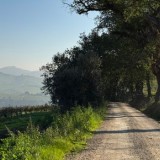 Offida in autunno: il borgo marchigiano tra vigneti e merletti