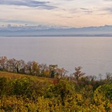 Ginevra d’autunno: vigne dorate, calici locali e musei imperdibili