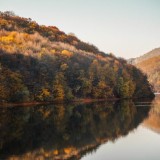 Foliage in Veneto: laghi dorati, vigneti rossi e boschi monumentali