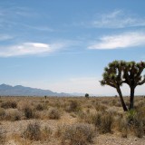 Tre cerchi, zero spigoli: la casa nel deserto che incornicia il cielo