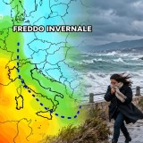 freddo
