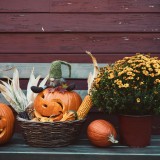 Bagnaia Halloween 2026