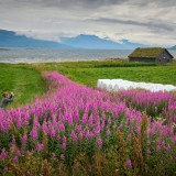 Vesterålen