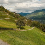 Alto Adige d’autunno: i waalwege tra castagne e vino nuovo