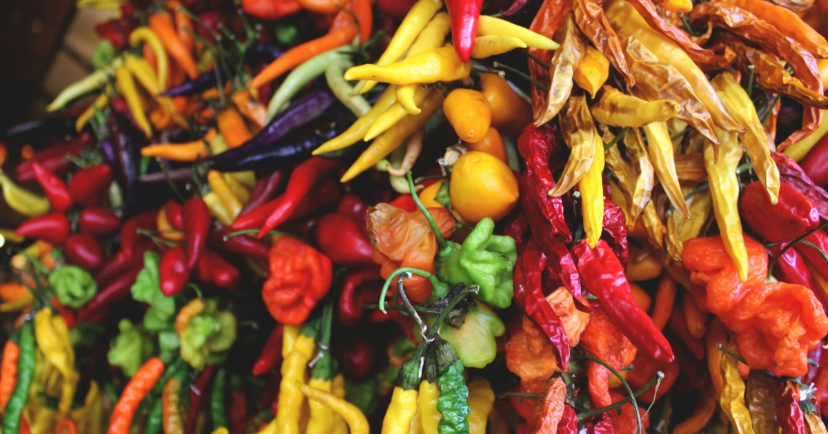 Autumn in Italy: discovering festivals dedicated to traditional flavors