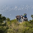 Barcolana 2025 spectator 