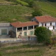 Urgent properties for sale