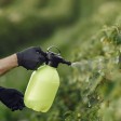 giardiniere applica trattamento per le piante