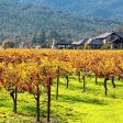 Il vino della California
