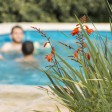 cheap property with a pool Italy
