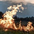 Un prato in fiamme