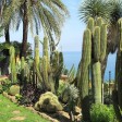 bordighera citta delle palme