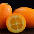 kumquat