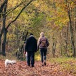 Una coppia con un cane bianco passeggia nel bosco