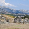 Salona